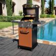 Permasteel Copper 2-Burner Liquid Propane Gas Grill