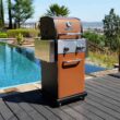 Permasteel Copper 2-Burner Liquid Propane Gas Grill