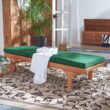 Safavieh Newport Natural Wood Frame Stationary Chaise Lounge Chair(s) with Green Cushioned Seat