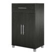 Ameriwood Home Camberly 23.46-in W x 39.2-in H Wood Composite Black Oak/Nightfall Oak Freestanding Utility Storage Cabinet