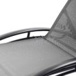 Clihome Patio Chair Set of 2 Metal Frame Stationary Chaise Lounge Chair(s) with Gray Textilene Sling Seat