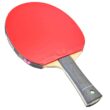 Butterfly Freitas ALC Pro-Line Racket + Dignics 09c + Dignics 05