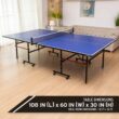 HEAD 1-1-33012-DS 12 Millimeter Surface Match Point Ping Pong Table with Net