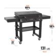 Blackstone 30" Culinary Omnivore Griddle with Hood 2-Burner Liquid Propane Flat Top Grill
