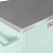 Linon Green Wood Base with Stainless Steel Metal Top Rolling Kitchen Cart (22-in x 18-in x 36-in)