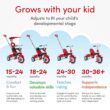 smarTrike Zoom 4 in 1 Baby Toddler Trike Tricycle Toy for 15 to 36 Months, Red smarTrike Zoom 4 in 1 Baby Toddler Trike Tricycle Toy for 15 to 36 Months, Red