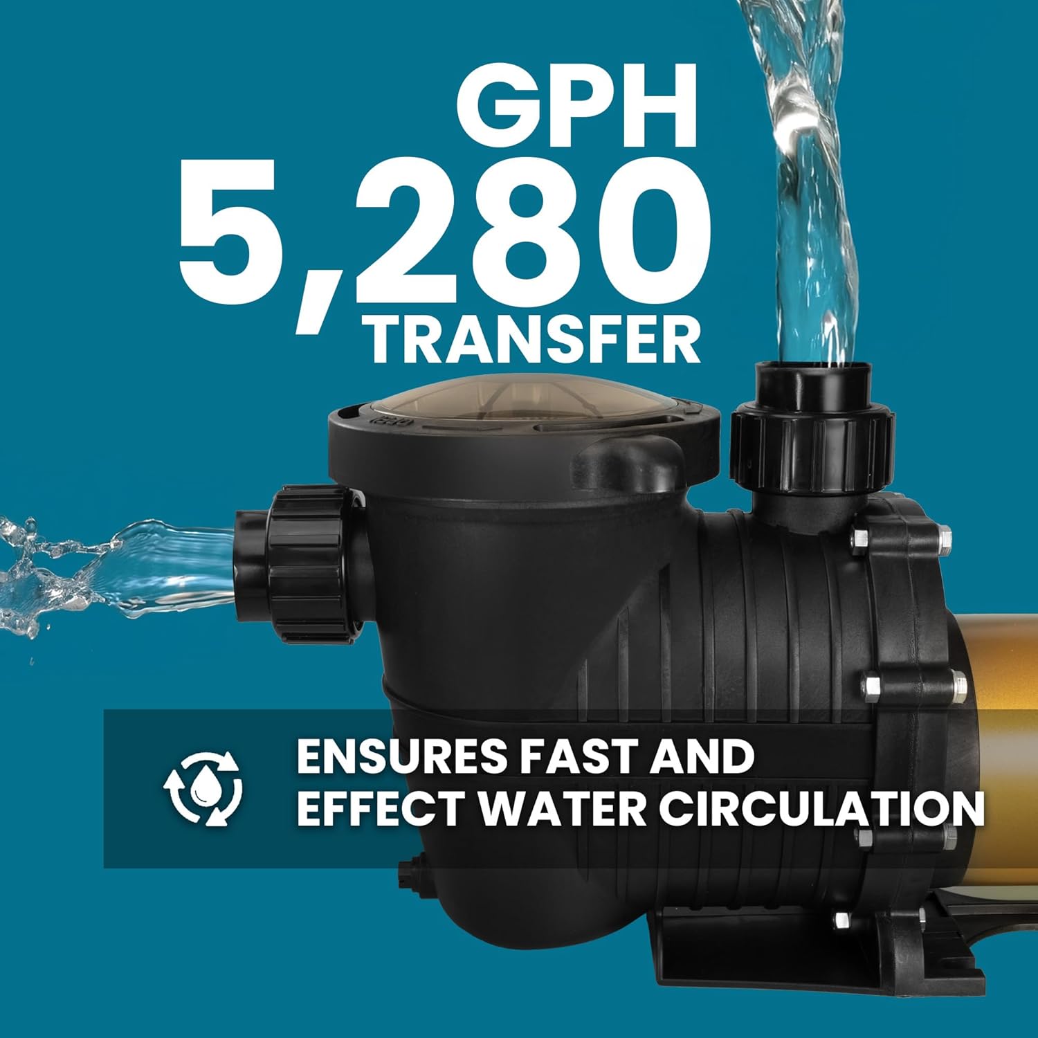 XtremepowerUS In-Ground Swimming Pool Pump Spa 1.75HP Dual Speed High Flow 5,280 GPH 1.5" NPT w/ Slip-On Fitting Included, Filter Basket, 230V XtremepowerUS In-Ground Swimming Pool Pump Spa 1.75HP Dual Speed High Flow 5,280 GPH 1.5" NPT w/ Slip-On Fitting Included, Filter Basket, 230V - Image 4