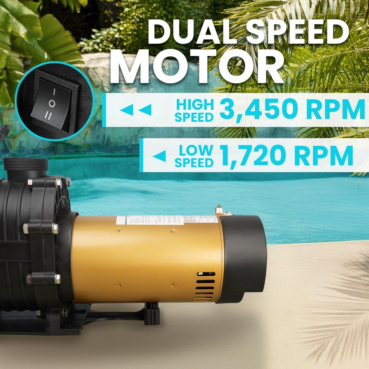 XtremepowerUS In-Ground Swimming Pool Pump Spa 1.75HP Dual Speed High Flow 5,280 GPH 1.5" NPT w/ Slip-On Fitting Included, Filter Basket, 230V XtremepowerUS In-Ground Swimming Pool Pump Spa 1.75HP Dual Speed High Flow 5,280 GPH 1.5" NPT w/ Slip-On Fitting Included, Filter Basket, 230V - Image 3