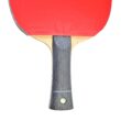 Butterfly Freitas ALC Pro-Line Racket + Dignics 09c + Dignics 05