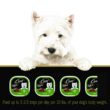(6 pack) CESAR Classic Loaf in Sauce Top Sirloin Flavor Soft Wet Dog Food for Adult Dog, 3.5 oz. Tray