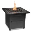 Endless Summer 24" H x 30" W Steel Propane Outdoor Fire Pit