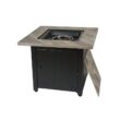 Endless Summer Harper 24.61" H x 30" W Steel Propane Outdoor Gas Fire Pit with Lid