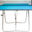 Butterfly Family Table Blue