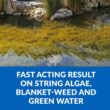 Airmax Ecosystems AMCC073-2G 2.5 gal Crystalclear Algae D- Solve