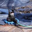 WAYNE WAPC250 1/4 HP Automatic ON/OFF Water Removal Pool Cover Pump