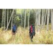 Teton Sports Fox 5200 Backpack
