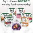 Nutro So Simple Meal Complement Chicken Recipe in Bone Broth Grain-Free Wet Dog Food Topper, 2-oz tray, case of 10 Nutro So Simple Meal Complement Chicken Recipe in Bone Broth Grain-Free Wet Dog Food Topper, 2-oz tray, case of 10