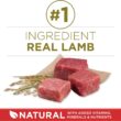 Purina ONE Dry Dog Food Lamb and Rice Formula - 31.1 lb. Bag Purina ONE Dry Dog Food Lamb and Rice Formula - 31.1 lb. Bag
