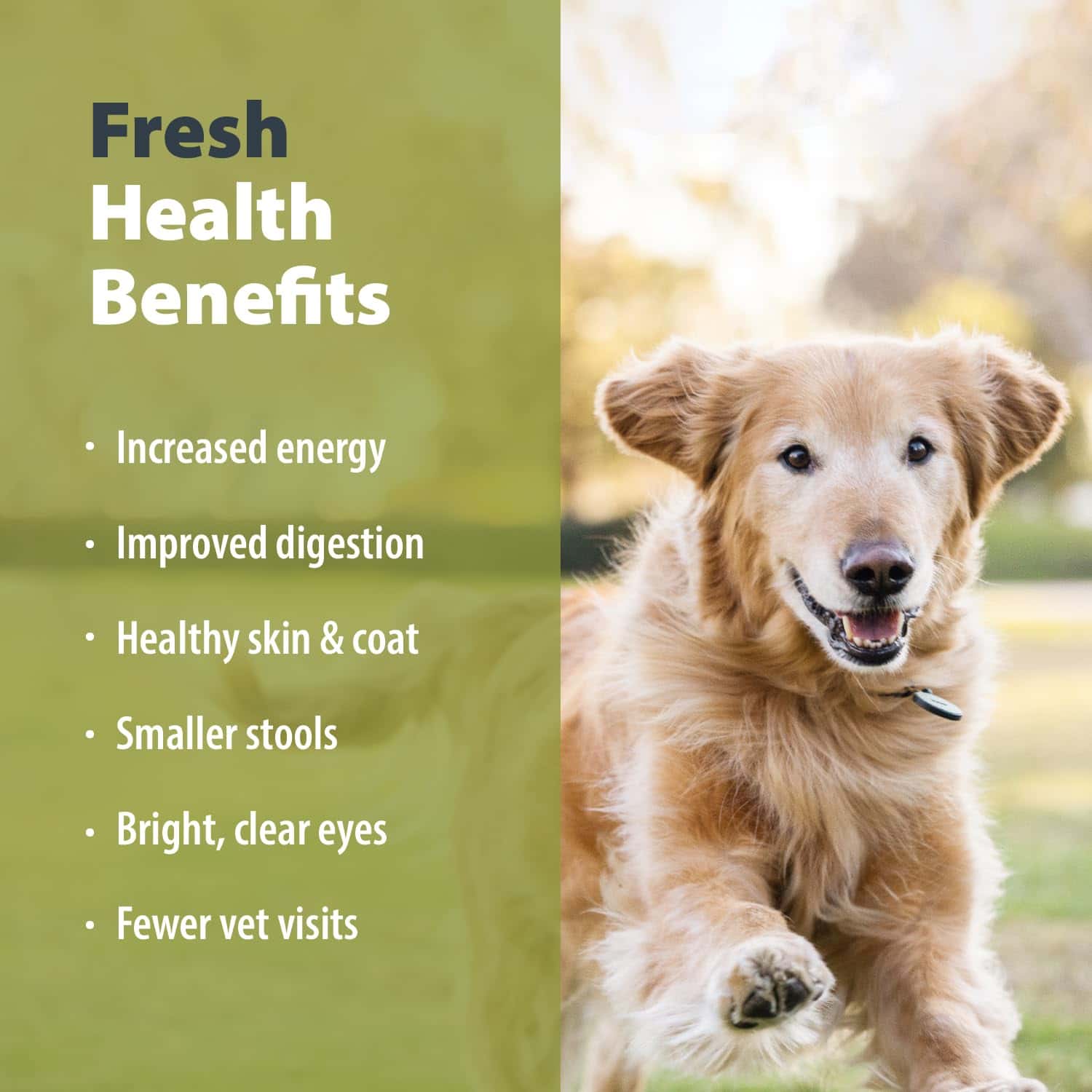 JustFoodForDogs PantryFresh Balanced Remedy Recipe Fresh Dog Food, 12.5-oz pouch, case of 12 JustFoodForDogs PantryFresh Balanced Remedy Recipe Fresh Dog Food, 12.5-oz pouch, case of 12 - Image 8