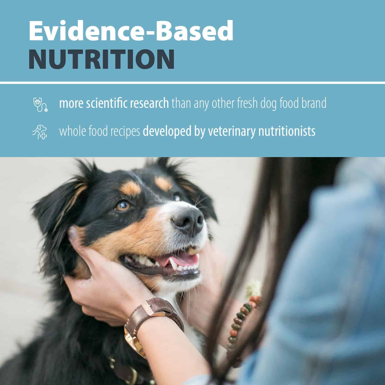 JustFoodForDogs PantryFresh Balanced Remedy Recipe Fresh Dog Food, 12.5-oz pouch, case of 12 JustFoodForDogs PantryFresh Balanced Remedy Recipe Fresh Dog Food, 12.5-oz pouch, case of 12 - Image 4
