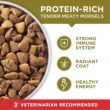 Purina ONE Dry Dog Food Lamb and Rice Formula - 31.1 lb. Bag Purina ONE Dry Dog Food Lamb and Rice Formula - 31.1 lb. Bag