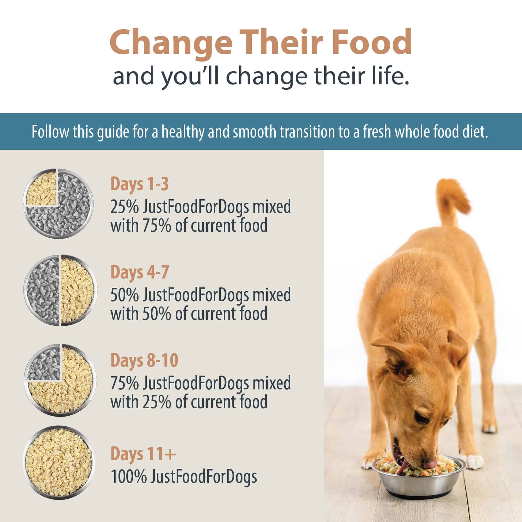 JustFoodForDogs PantryFresh Balanced Remedy Recipe Fresh Dog Food, 12.5-oz pouch, case of 12 JustFoodForDogs PantryFresh Balanced Remedy Recipe Fresh Dog Food, 12.5-oz pouch, case of 12 - Image 2