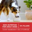 Purina ONE Dry Dog Food Lamb and Rice Formula - 31.1 lb. Bag Purina ONE Dry Dog Food Lamb and Rice Formula - 31.1 lb. Bag