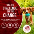 Purina ONE Dry Dog Food Lamb and Rice Formula - 31.1 lb. Bag Purina ONE Dry Dog Food Lamb and Rice Formula - 31.1 lb. Bag