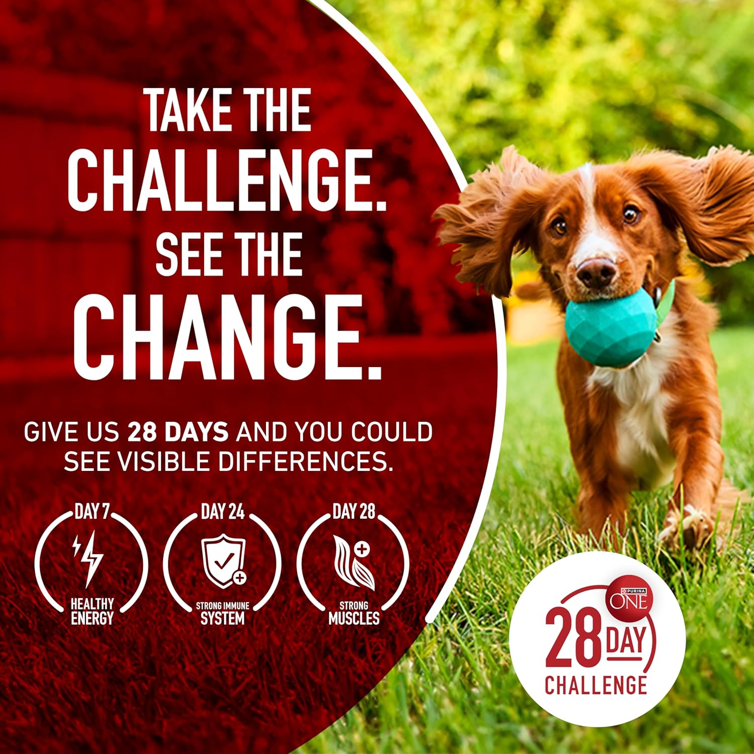 Purina ONE Dry Dog Food Lamb and Rice Formula - 31.1 lb. Bag Purina ONE Dry Dog Food Lamb and Rice Formula - 31.1 lb. Bag - Image 11