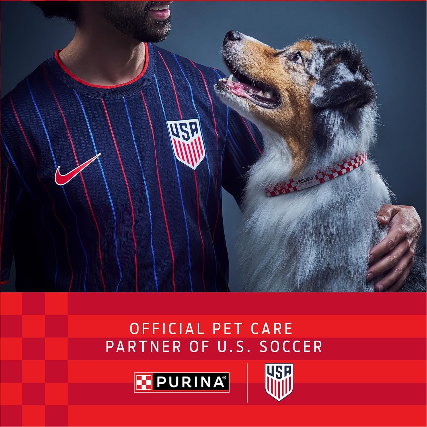 Purina ONE Dry Dog Food Lamb and Rice Formula - 31.1 lb. Bag Purina ONE Dry Dog Food Lamb and Rice Formula - 31.1 lb. Bag - Image 3
