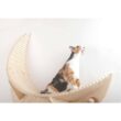 AndMakers MZ-Luna MYZOO Medium Luna Crescent Moon Shape Wall Mounted Wood Cat Bed AndMakers MZ-Luna MYZOO Medium Luna Crescent Moon Shape Wall Mounted Wood Cat Bed
