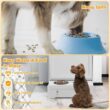ANGELES HOME 8CK-10010PVWH 2-Cup Wood Pet Feeder Station with Stainless Steel Bowl in White ANGELES HOME 8CK-10010PVWH 2-Cup Wood Pet Feeder Station with Stainless Steel Bowl in White