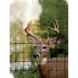 Tenax 1A120246 7.5 ft. x 330 ft. C Flex Plastic Deer Fence