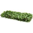 WELLFOR OP-HWY-70780 31 in. Plastic Garden Fence Green Artificial Ivy Fence Screen (Set of 3)