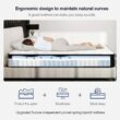 Avenco 10 in. Medium Firm Hybrid Pillow Top Mattresses, Strong Edge Support, King Mattress