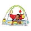 Infantino 4-in-1 Jumbo Fruit Ball Pit and Play Mat, Baby Activity Center