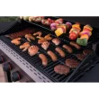 Megamaster 6-Burner Propane Gas Grill