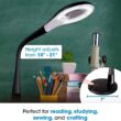 OttLite LED Desk Lamp with Adjustable Magnifier, Prevention Series - Designed to Reduce Eyestrain