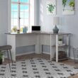 Ameriwood Home Dominic L Desk with Bookshelves, White