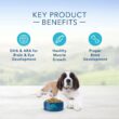 Blue Buffalo Blue Life Protection Formula Natural Puppy Large Breed Chicken and Brown Rice Dry Dog Food, 30 lbs.