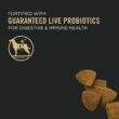 Purina Pro Plan with Probiotics Bright Mind Chicken & Rice Formula Senior Adult 7+ Dry Dog Food, 30 lbs.