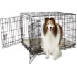 EveryYay Going Places 2-Door Folding Dog Crate, 36.8" L X 23.2" W X 24.9" H - Lagre
