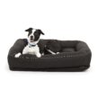 Reddy Indoor/Outdoor Dog Bed, 40