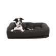 Reddy Indoor/Outdoor Dog Bed, 40" L X 30" W, Black