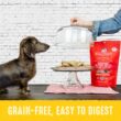 Stella & Chewy's Freeze Dried Raw Dinner Patties High Protein Chewy's Chicken Recipe Dry Dog Food, 25 oz.