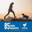 ORIJEN Original Dry Dog Food, Grain Free Dog Food for All Life Stages, Fresh or Raw Ingredients, 23.5 lb