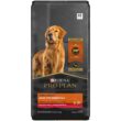Purina Pro Plan High Protein with Probiotics Shredded Blend Beef & Rice Formula Dry Dog Food, 47 lbs.