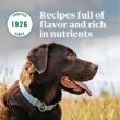 NUTRO NATURAL CHOICE Adult Dry Dog Food, Chicken & Brown Rice Recipe Dog Kibble, 30 lb. Bag