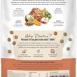 The Honest Kitchen Whole Food Clusters Grain Free Beef Dry Dog Food, 20 lbs.