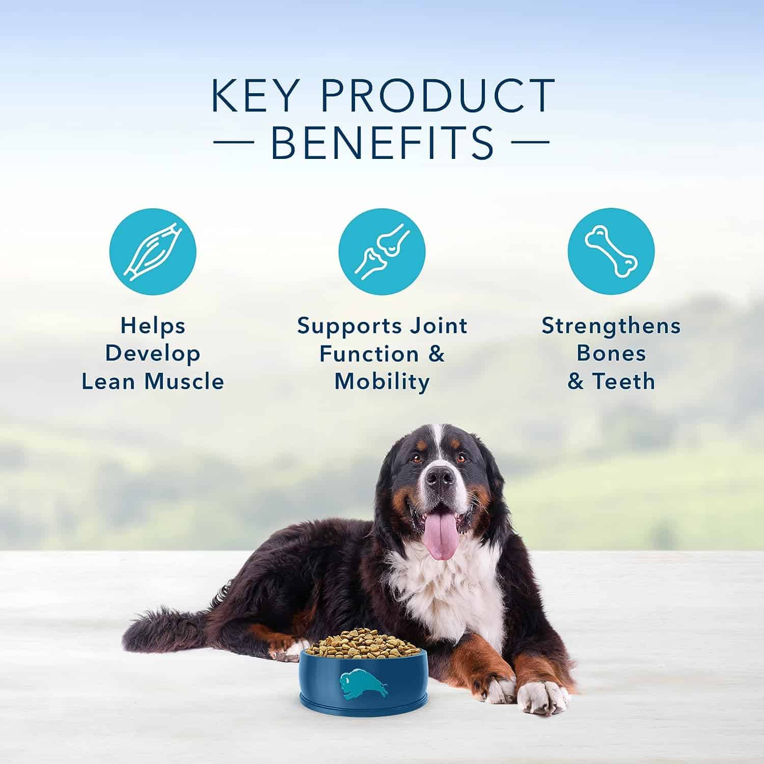 Blue Buffalo Blue Life Protection Formula Natural Adult Large Breed Chicken and Brown Rice Dry Dog Food, 30 lbs. Blue Buffalo Blue Life Protection Formula Natural Adult Large Breed Chicken and Brown Rice Dry Dog Food, 30 lbs. - Image 5